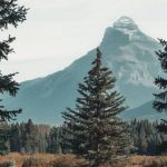 Mountain Views - Mountain Alps Covering With Clouds