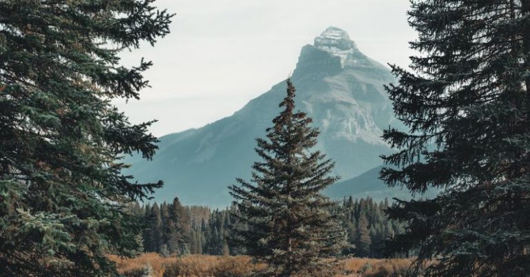 Mountain Views - Mountain Alps Covering With Clouds