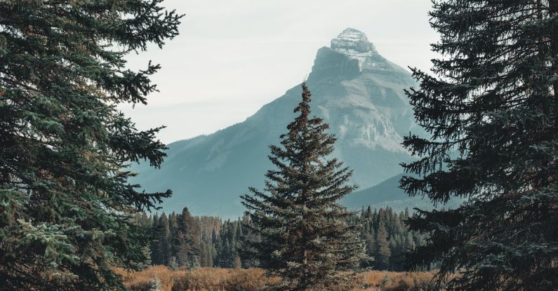 Mountain Views - Mountain Alps Covering With Clouds