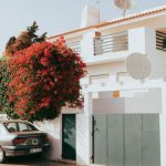Villa Guides - Red flowers in Albufeira